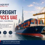 Sea Freight Services UAE for cost-effective international shipping